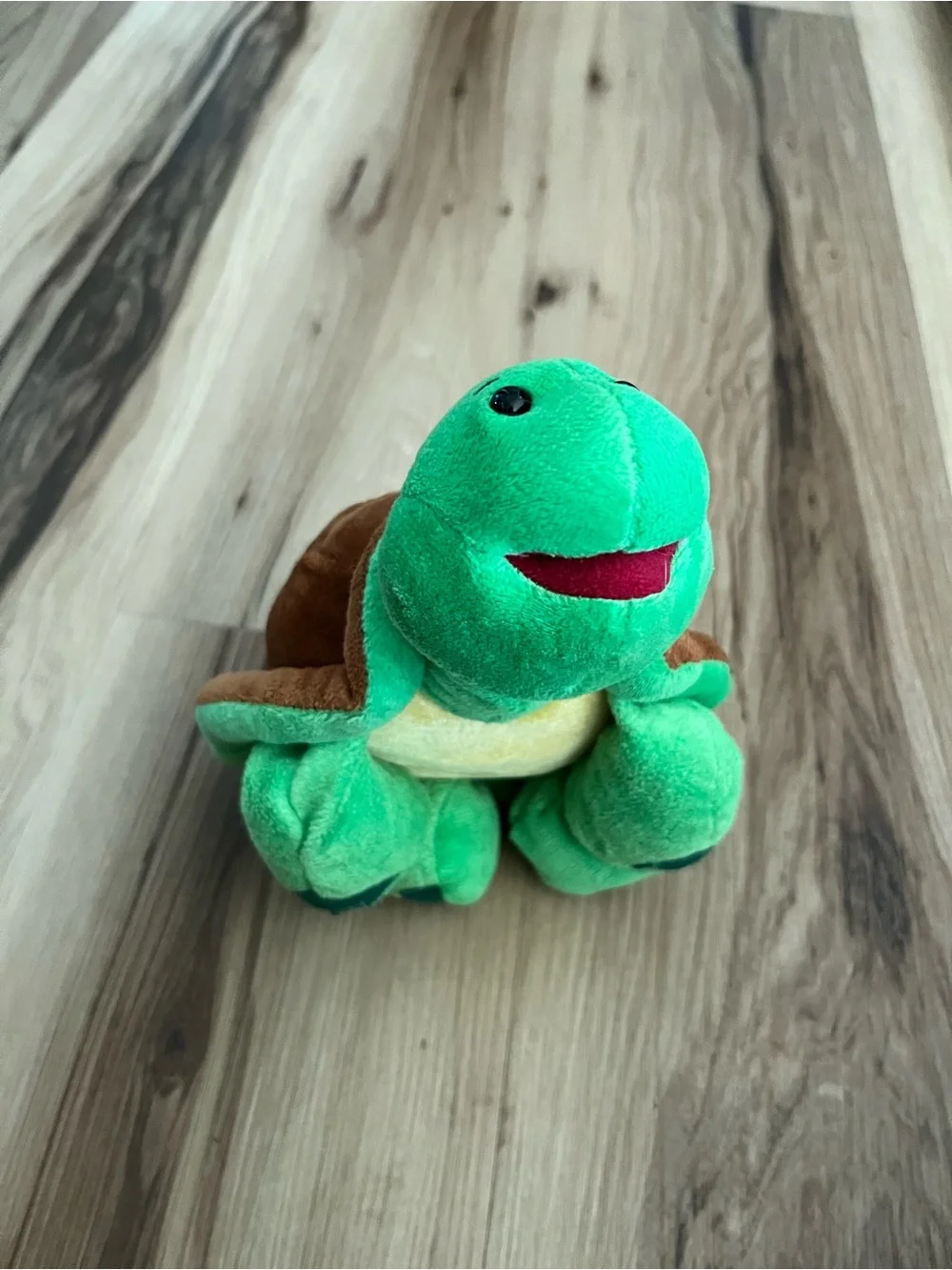Ganz Webkinz